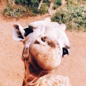 Meet your Posher, Hadleigh